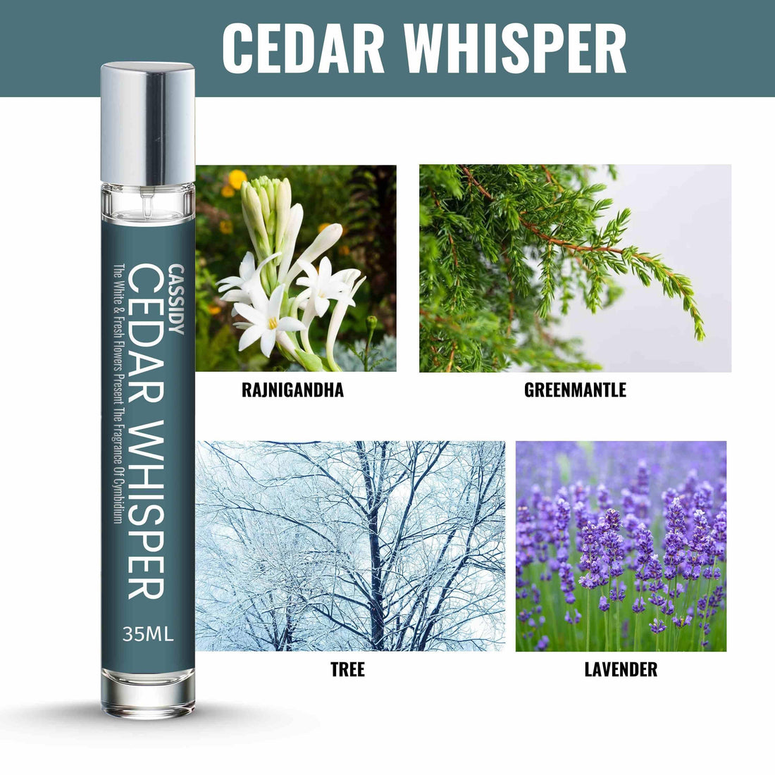 CASSIDY Cedar Whisper Perfume, 35ml.( Pack of 2)