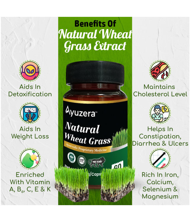 Natural Wheat Grass